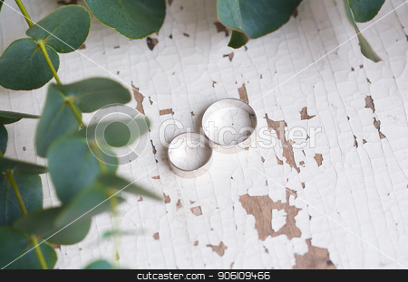 To use this stock image in your creative project, please select the size you need over to the right and click the "Add to Cart" button.
Your downloaded image will come with the Cutcaster watermark removed so don’t worry about the watermark you see on this page. two wedding rings stock photo, two wedding rings on a white table with old eucalyptus branches by Sergiy Artsaba