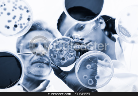 To use this stock image in your creative project, please select the size you need over to the right and click the "Add to Cart" button.
Your downloaded image will come with the Cutcaster watermark removed so don’t worry about the watermark you see on this page. Life scientists researching in the health care laboratory. stock photo, Scientists researching in laboratory, pipetting cell culture samples and serum on LB agar medium. Life science professional grafting bacteria in the petri dishes. Through the glass view by kasto
