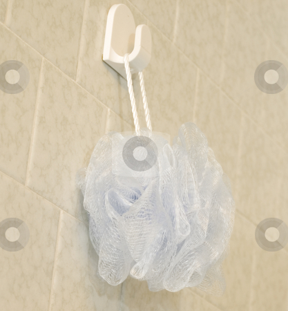 To use this stock image in your creative project, please select the size you need over to the right and click the "Add to Cart" button.
Your downloaded image will come with the Cutcaster watermark removed so don’t worry about the watermark you see on this page. Blue loofa hanging in shower stock photo, Blue loofa hanging in shower by John Teeter