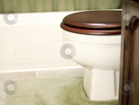To use this stock image in your creative project, please select the size you need over to the right and click the "Add to Cart" button.
Your downloaded image will come with the Cutcaster watermark removed so don’t worry about the watermark you see on this page. Bathroom Toilet setting stock photo, Bathroom toilet setting by John Teeter