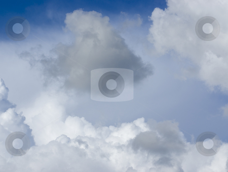 To use this stock image in your creative project, please select the size you need over to the right and click the "Add to Cart" button.
Your downloaded image will come with the Cutcaster watermark removed so don’t worry about the watermark you see on this page. Storm cloud stock photo, Storm cloud in white clouds by John Teeter