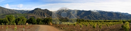 To use this stock image in your creative project, please select the size you need over to the right and click the "Add to Cart" button.
Your downloaded image will come with the Cutcaster watermark removed so don’t worry about the watermark you see on this page. Ojai Valley With Snow stock photo, Landscape shot of the Ojai valley with snow on the mountains. by Henrik Lehnerer
