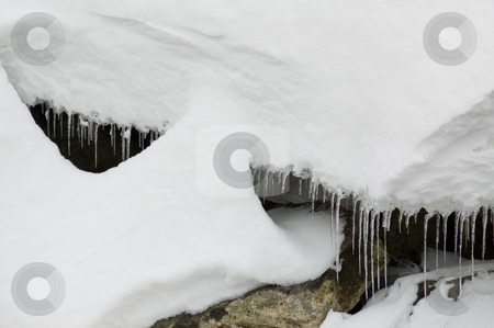 To use this stock image in your creative project, please select the size you need over to the right and click the "Add to Cart" button.
Your downloaded image will come with the Cutcaster watermark removed so don’t worry about the watermark you see on this page. Winter icicles stock photo, Row of icicles under a thick layer of snow by Jean Larue-Frechette