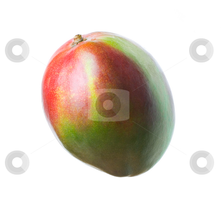 To use this stock image in your creative project, please select the size you need over to the right and click the "Add to Cart" button.
Your downloaded image will come with the Cutcaster watermark removed so don’t worry about the watermark you see on this page. Mango's stock photo, Delicious mango isolated over white background by Tommy Maenhout