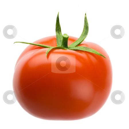 To use this stock image in your creative project, please select the size you need over to the right and click the "Add to Cart" button.
Your downloaded image will come with the Cutcaster watermark removed so don’t worry about the watermark you see on this page. Tomato stock photo, Delicous plump red tomato isolated over white background by Tommy Maenhout