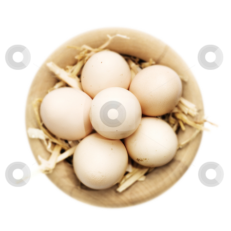 To use this stock image in your creative project, please select the size you need over to the right and click the "Add to Cart" button.
Your downloaded image will come with the Cutcaster watermark removed so don’t worry about the watermark you see on this page. Eggs stock photo, Freshly gattered eggs in a basket over white by Tommy Maenhout
