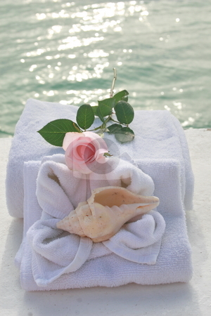 To use this stock image in your creative project, please select the size you need over to the right and click the "Add to Cart" button.
Your downloaded image will come with the Cutcaster watermark removed so don’t worry about the watermark you see on this page. Romantic spa day stock photo, Romantic spa setting with towels, roses and sea shells. by Crystal Kirk