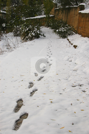 To use this stock image in your creative project, please select the size you need over to the right and click the "Add to Cart" button.
Your downloaded image will come with the Cutcaster watermark removed so don’t worry about the watermark you see on this page. Turkish Village stock photo, House in turkish village at winter time by Kobby Dagan