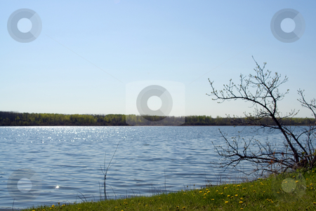 To use this stock image in your creative project, please select the size you need over to the right and click the "Add to Cart" button.
Your downloaded image will come with the Cutcaster watermark removed so don’t worry about the watermark you see on this page. Small Lake stock photo, A small lake with the sun shining on the water by Richard Nelson