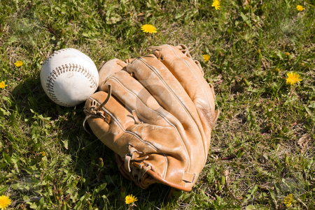 To use this stock image in your creative project, please select the size you need over to the right and click the "Add to Cart" button.
Your downloaded image will come with the Cutcaster watermark removed so don’t worry about the watermark you see on this page. Baseball And Glove stock photo, A baseball and glove lying in the grass outside by Richard Nelson