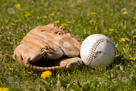 To use this stock image in your creative project, please select the size you need over to the right and click the "Add to Cart" button.
Your downloaded image will come with the Cutcaster watermark removed so don’t worry about the watermark you see on this page. Mitt and Softball stock photo, A softball and mitt lying in the grass outside by Richard Nelson