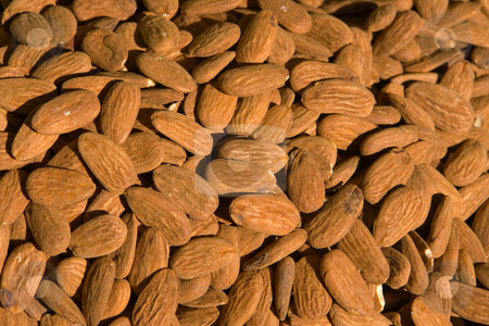To use this stock image in your creative project, please select the size you need over to the right and click the "Add to Cart" button.
Your downloaded image will come with the Cutcaster watermark removed so don’t worry about the watermark you see on this page. Almonds stock photo, by Wolfgang Heidasch