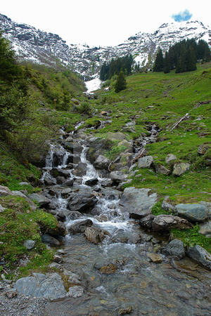 To use this stock image in your creative project, please select the size you need over to the right and click the "Add to Cart" button.
Your downloaded image will come with the Cutcaster watermark removed so don’t worry about the watermark you see on this page. Gebirgsbach stock photo, Urlaub Pfingsten 2006 Hinterglemm ?sterreich by Wolfgang Heidasch