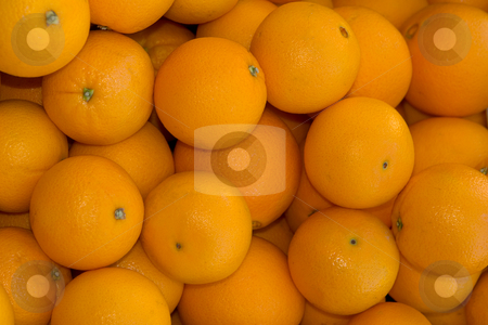 To use this stock image in your creative project, please select the size you need over to the right and click the "Add to Cart" button.
Your downloaded image will come with the Cutcaster watermark removed so don’t worry about the watermark you see on this page. Oranges stock photo, by Wolfgang Heidasch