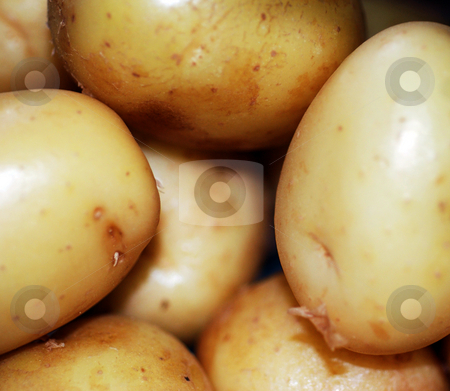 To use this stock image in your creative project, please select the size you need over to the right and click the "Add to Cart" button.
Your downloaded image will come with the Cutcaster watermark removed so don’t worry about the watermark you see on this page. Pile of Potatoes stock photo, A close up photograph of a pile of raw potatoes by Philippa Willitts