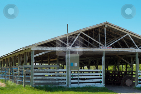 To use this stock image in your creative project, please select the size you need over to the right and click the "Add to Cart" button.
Your downloaded image will come with the Cutcaster watermark removed so don’t worry about the watermark you see on this page. Cattle Barn Close-up stock photo, Close-up view of an empty cattle barn by Richard Nelson