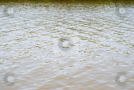 To use this stock image in your creative project, please select the size you need over to the right and click the "Add to Cart" button.
Your downloaded image will come with the Cutcaster watermark removed so don’t worry about the watermark you see on this page. River Background stock photo, Dirty river water background, shot during the day by Richard Nelson
