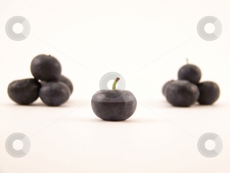 To use this stock image in your creative project, please select the size you need over to the right and click the "Add to Cart" button.
Your downloaded image will come with the Cutcaster watermark removed so don’t worry about the watermark you see on this page. Blueberries stock photo, Image of a single blueberry with others piled in the background. by Jill Oliver