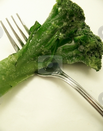 To use this stock image in your creative project, please select the size you need over to the right and click the "Add to Cart" button.
Your downloaded image will come with the Cutcaster watermark removed so don’t worry about the watermark you see on this page. Frozen Broccoli on Fork stock photo, Image of a large spear of bright green, frozen broccoli on a metal fork. by Jill Oliver