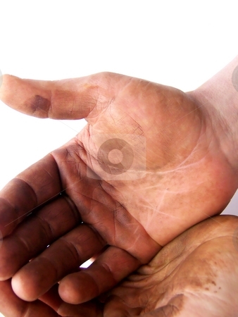 To use this stock image in your creative project, please select the size you need over to the right and click the "Add to Cart" button.
Your downloaded image will come with the Cutcaster watermark removed so don’t worry about the watermark you see on this page. Expectant, Hardworking Hands stock photo, Image of hardworking hands held together, on a white background. Vertical orientation. by Jill Oliver