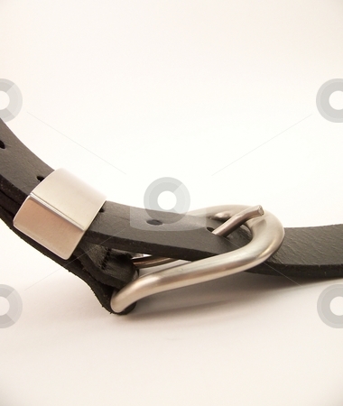 To use this stock image in your creative project, please select the size you need over to the right and click the "Add to Cart" button.
Your downloaded image will come with the Cutcaster watermark removed so don’t worry about the watermark you see on this page. Black Belt Buckle stock photo, Image of a curved black belt with metal buckle. Vertical orientation. by Jill Oliver