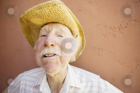 To use this stock image in your creative project, please select the size you need over to the right and click the "Add to Cart" button.
Your downloaded image will come with the Cutcaster watermark removed so don’t worry about the watermark you see on this page. Senior Citizen Man in a Cowboy Hat stock photo, Senior Citizen Man with a Funny Expression Wearing a Straw Cowboy Hat by Scott Griessel