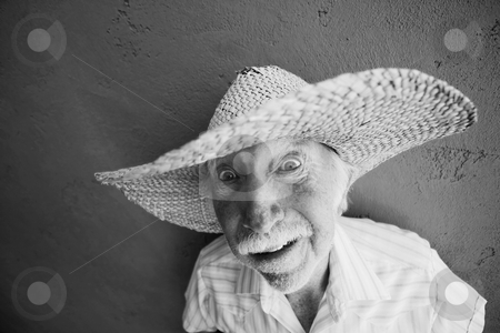 To use this stock image in your creative project, please select the size you need over to the right and click the "Add to Cart" button.
Your downloaded image will come with the Cutcaster watermark removed so don’t worry about the watermark you see on this page. Man in a big straw hat stock photo, Crazy old man in a big straw hat by Scott Griessel