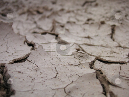 To use this stock image in your creative project, please select the size you need over to the right and click the "Add to Cart" button.
Your downloaded image will come with the Cutcaster watermark removed so don’t worry about the watermark you see on this page. Parched Land stock photo, A ground level shot of dirt, parched by the blistering sun in the desert. by Caley Gonyea