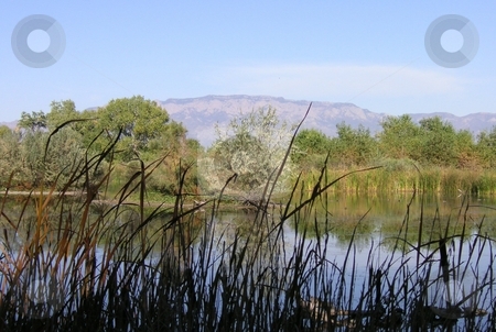 To use this stock image in your creative project, please select the size you need over to the right and click the "Add to Cart" button.
Your downloaded image will come with the Cutcaster watermark removed so don’t worry about the watermark you see on this page. Sandia Mountains overlooking Pond stock photo, The Sandia Mountains in distance overlooking a pond near the Rio Grande in New Mexico. by Caley Gonyea