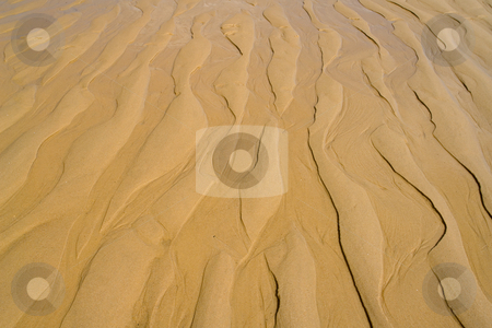 To use this stock image in your creative project, please select the size you need over to the right and click the "Add to Cart" button.
Your downloaded image will come with the Cutcaster watermark removed so don’t worry about the watermark you see on this page. Strukturen im Sand (Watt) am Atlantik in Frankreich, H?he Bordeaux, Medoc stock photo, Wind und Wasserbewegung formen diese bizarren und verg?nglichen Muster in den Sand. by Wolfgang Heidasch