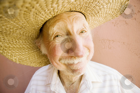 To use this stock image in your creative project, please select the size you need over to the right and click the "Add to Cart" button.
Your downloaded image will come with the Cutcaster watermark removed so don’t worry about the watermark you see on this page. Senior Citizen Man in a Cowboy Hat stock photo, Senior Citizen Man with a Funny Expression Wearing a Straw Cowboy Hat by Scott Griessel