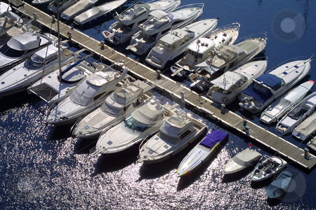 To use this stock image in your creative project, please select the size you need over to the right and click the "Add to Cart" button.
Your downloaded image will come with the Cutcaster watermark removed so don’t worry about the watermark you see on this page. Monaco marina stock photo, Collection of luxury boats moored in Monaco marina. by Ronald Hudson