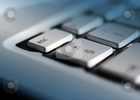 To use this stock image in your creative project, please select the size you need over to the right and click the "Add to Cart" button.
Your downloaded image will come with the Cutcaster watermark removed so don’t worry about the watermark you see on this page. Escaping the office stock photo, Close-up of laptop keyboard with focus on escape key. Blue lighting effect added with clear patch on escape key. by Ronald Hudson