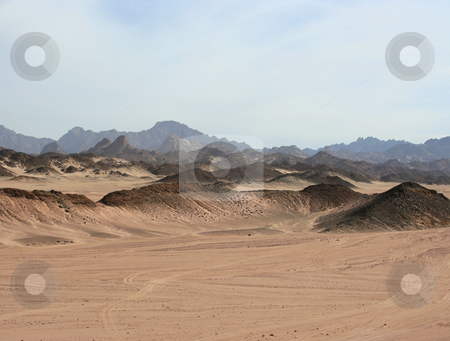 To use this stock image in your creative project, please select the size you need over to the right and click the "Add to Cart" button.
Your downloaded image will come with the Cutcaster watermark removed so don’t worry about the watermark you see on this page. Safari desert stock photo, Photography of a safari in Egypt by Markus Gann