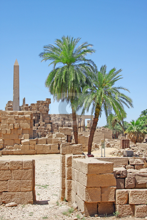 To use this stock image in your creative project, please select the size you need over to the right and click the "Add to Cart" button.
Your downloaded image will come with the Cutcaster watermark removed so don’t worry about the watermark you see on this page. Luxor temple stock photo, A photography of an old historic place in Luxor Egypt by Markus Gann