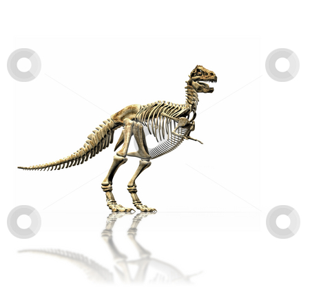 To use this stock image in your creative project, please select the size you need over to the right and click the "Add to Cart" button.
Your downloaded image will come with the Cutcaster watermark removed so don’t worry about the watermark you see on this page. T-rex skeleton stock photo, A illustration of a huge t-rex skeleton by Markus Gann