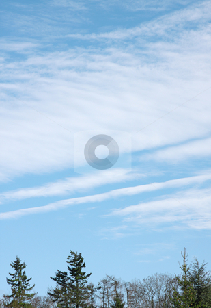 To use this stock image in your creative project, please select the size you need over to the right and click the "Add to Cart" button.
Your downloaded image will come with the Cutcaster watermark removed so don’t worry about the watermark you see on this page. Clouds stock photo, A photography of a bright cloudy sky by Markus Gann