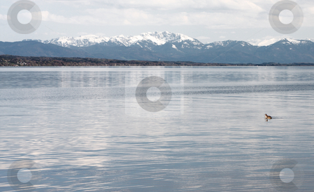 To use this stock image in your creative project, please select the size you need over to the right and click the "Add to Cart" button.
Your downloaded image will come with the Cutcaster watermark removed so don’t worry about the watermark you see on this page. The alps stock photo, A photography of the alps in bavaria germany by Markus Gann