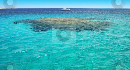 To use this stock image in your creative project, please select the size you need over to the right and click the "Add to Cart" button.
Your downloaded image will come with the Cutcaster watermark removed so don’t worry about the watermark you see on this page. Turquoise water riff scuba diving stock photo, A photography of a turquoise ocean water riff by Markus Gann
