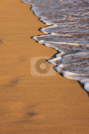 To use this stock image in your creative project, please select the size you need over to the right and click the "Add to Cart" button.
Your downloaded image will come with the Cutcaster watermark removed so don’t worry about the watermark you see on this page. Beach Shoreline Wash stock photo, Beach Shoreline in the Early Monring Sun, by Andy Dean