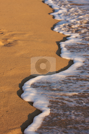To use this stock image in your creative project, please select the size you need over to the right and click the "Add to Cart" button.
Your downloaded image will come with the Cutcaster watermark removed so don’t worry about the watermark you see on this page. Beach Shoreline Wash stock photo, Beach Shoreline in the Early Monring Sun, by Andy Dean