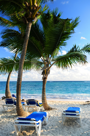 To use this stock image in your creative project, please select the size you need over to the right and click the "Add to Cart" button.
Your downloaded image will come with the Cutcaster watermark removed so don’t worry about the watermark you see on this page. Sandy beach of tropical resort stock photo, Sandy beach of tropical resort with palm trees and reclining chairs by Elena Elisseeva