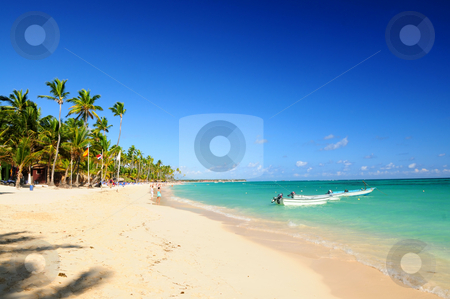 To use this stock image in your creative project, please select the size you need over to the right and click the "Add to Cart" button.
Your downloaded image will come with the Cutcaster watermark removed so don’t worry about the watermark you see on this page. Sandy beach on Caribbean resort stock photo, Sandy beach on Caribbean resort and fishing boats at sea by Elena Elisseeva