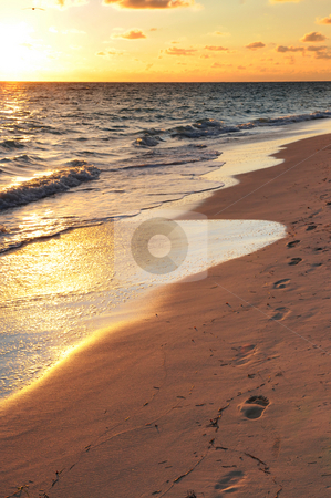 To use this stock image in your creative project, please select the size you need over to the right and click the "Add to Cart" button.
Your downloaded image will come with the Cutcaster watermark removed so don’t worry about the watermark you see on this page. Footprints on sandy beach at sunrise stock photo, Footprints on sandy tropical beach at sunrise by Elena Elisseeva