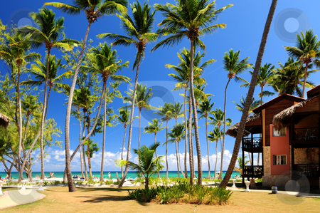To use this stock image in your creative project, please select the size you need over to the right and click the "Add to Cart" button.
Your downloaded image will come with the Cutcaster watermark removed so don’t worry about the watermark you see on this page. Tropical resort stock photo, Luxury hotel at tropical resort on ocean shore with palm trees by Elena Elisseeva
