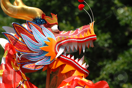 To use this stock image in your creative project, please select the size you need over to the right and click the "Add to Cart" button.
Your downloaded image will come with the Cutcaster watermark removed so don’t worry about the watermark you see on this page. Chinese Dragon stock photo, A Chinese Dragon head by Vince Clements