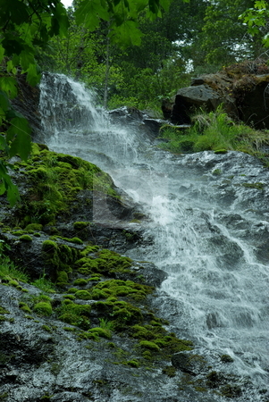 To use this stock image in your creative project, please select the size you need over to the right and click the "Add to Cart" button.
Your downloaded image will come with the Cutcaster watermark removed so don’t worry about the watermark you see on this page. Waterfall And Moss stock photo, A small waterfall flowing down moss covered rocks. by Lynn Bendickson