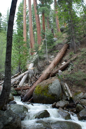 To use this stock image in your creative project, please select the size you need over to the right and click the "Add to Cart" button.
Your downloaded image will come with the Cutcaster watermark removed so don’t worry about the watermark you see on this page. Mountain Stream stock photo, Clear mountain stream flowing through the forest by Lynn Bendickson