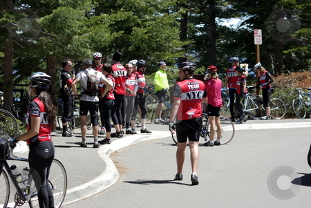 To use this stock image in your creative project, please select the size you need over to the right and click the "Add to Cart" button.
Your downloaded image will come with the Cutcaster watermark removed so don’t worry about the watermark you see on this page. America's Most Beautiful Bicycle Ride (Lake Tahoe) stock photo, Participants taking a break at Emerald Bay. by Lynn Bendickson