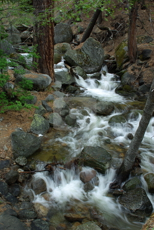 To use this stock image in your creative project, please select the size you need over to the right and click the "Add to Cart" button.
Your downloaded image will come with the Cutcaster watermark removed so don’t worry about the watermark you see on this page. Mountain Stream stock photo, Clear mountain stream flowing through the forest by Lynn Bendickson